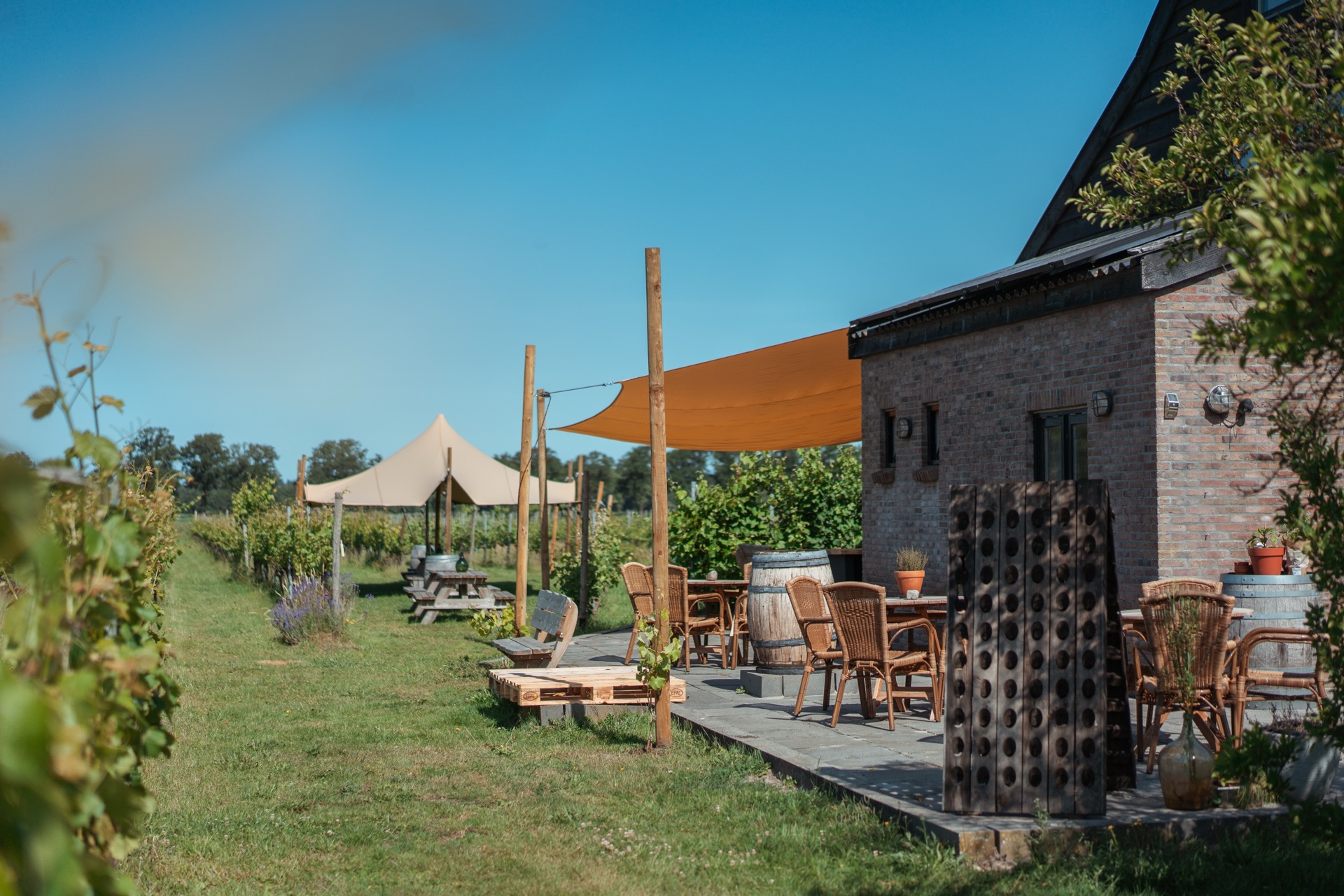 Proefhuis met terras en uitzicht over de wijngaard