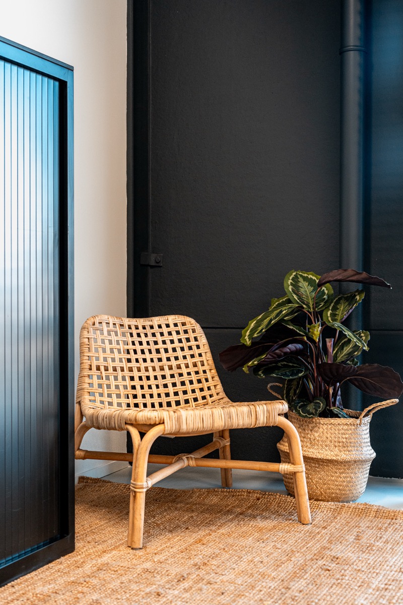Rotan loungestoel met plant tegen donkere wand
